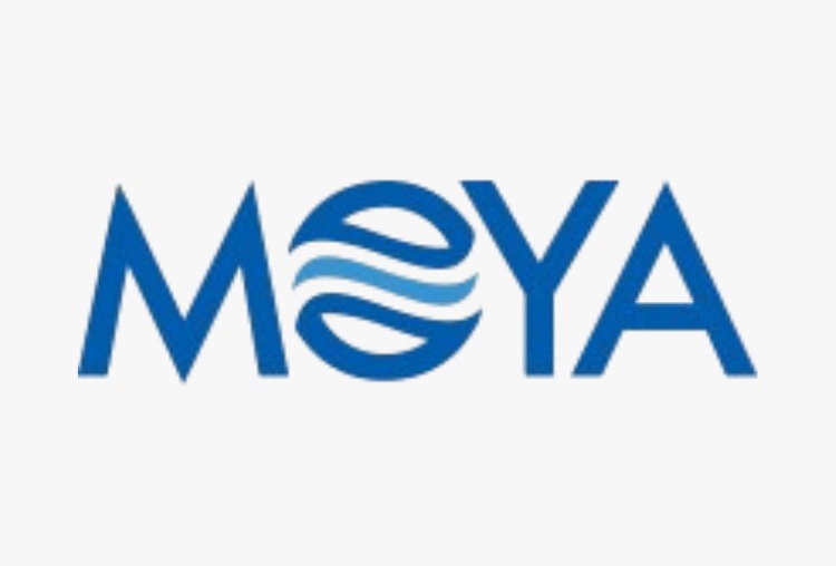 Client Logo 14